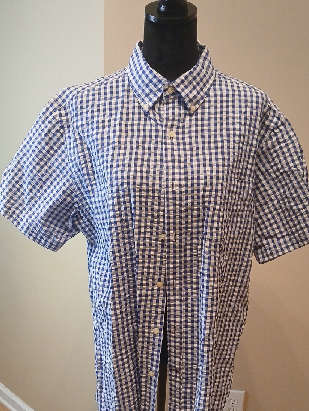 Daniel Cremieux Blue and White Gingham Short-Sleeve Button-Down Shirt